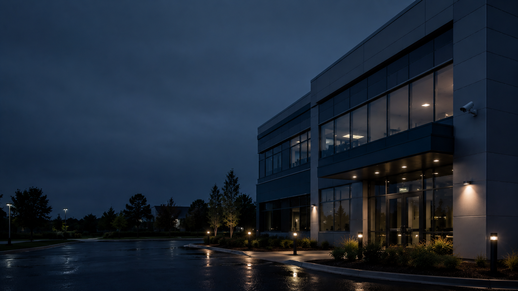 Commercial video surveillance and security camera systems